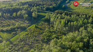 Kaste tn, Kangru, Kiili vald, Harjumaa (4 foto / 10)
