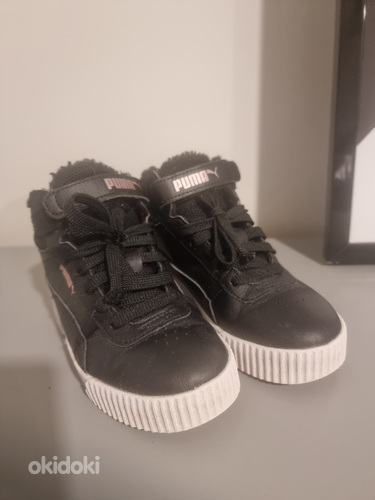 Puma tossud