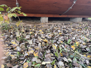 Müüa kämping (3 foto / 8)