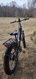 Rendile anda fatbike Engwe E26 kulleritele (Bolt/Wolt) (4 foto / 4)