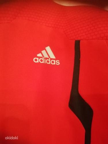 Adidas комплект (фото #4)