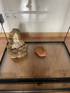 Terrarium sobib kameeleonite, sisalikute jaoks (3 foto / 8)