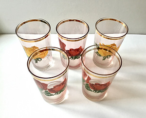 Vintage klaaside komplekt, 5 klaasi koos