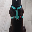 Keskmise koera traksid/rakmed Шлейка для средней собаки (фото #1)