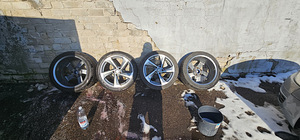 Audi диски (5 фото из 8)
