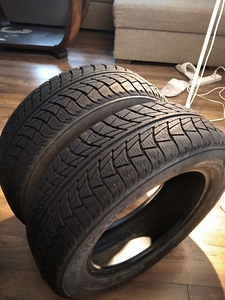 Шины 185/65/R15 Nankang Snow Viva SV-1 2 шт (2 фото из 4)