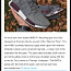 Adidas NMD R1 maroon pack size 42 (foto #4)