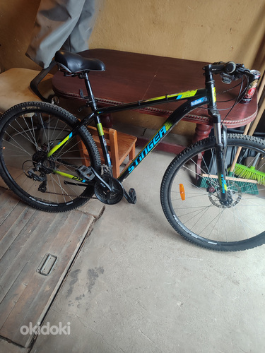 Stinger jalgratas 21".