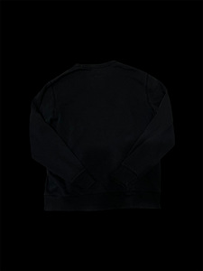 Hoodie GAP (кофта, kampsun) (2 фото из 4)