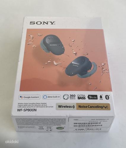 Sony WF-SP800N White/Blue (фото #3)