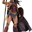 Wonder Woman Figuur kollektsionäärile (foto #1)