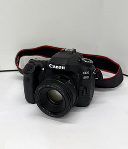 Canon EOS 80D + Canon EF lens 50 mm + kott (1 foto / 3)