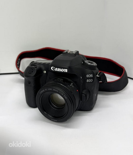 Canon EOS 80D + Canon EF lens 50 mm + kott