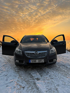 Opel Insignia (1 фото из 11)