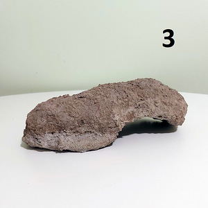 Lemmiklooma majad / Varjupaigad loomadele / Varjupaigad lemmikloomadele (3 foto / 6)