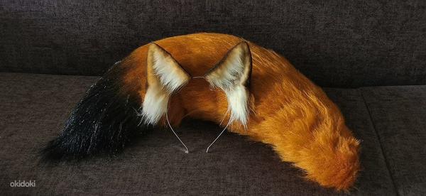 Fox costume (foto #1)