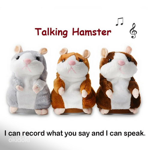 Rääkiv hamster (foto #5)