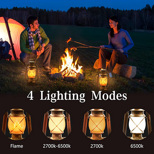 LED Vintage Laternad 2tk akutoitega + pult (2 foto / 7)