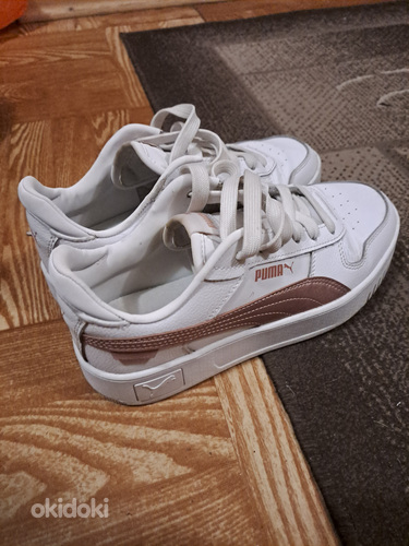 Puma tossud