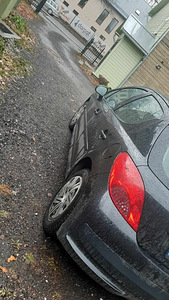 2007 Peugeot 207 (4 foto / 7)