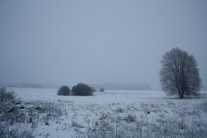 Keraamika tootmishoone Tartust 18km! (11 foto / 14)