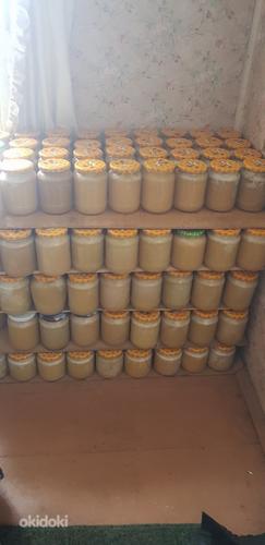 Продается мед. Рамки Лангстрота 23.2 × 44.8см (фото #1)