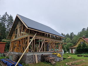 Katuserobotid, sillutusplaadid, aiad. (6 foto / 9)