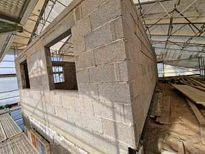 Katuserobotid, sillutusplaadid, aiad. (9 foto / 9)