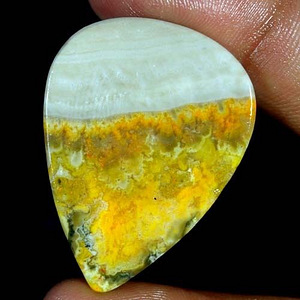 BUMBLE BEE JASPER (4,0 x 3,0 sm) Aafrika (2 foto / 2)