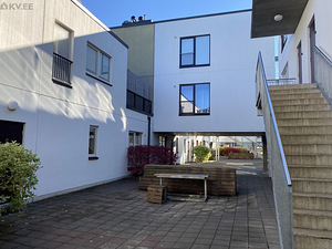 Aruheina tee 3, Peetri, Rae vald, Harjumaa (2 foto / 14)