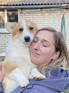 Walesi corgi pembroke (6 foto / 8)
