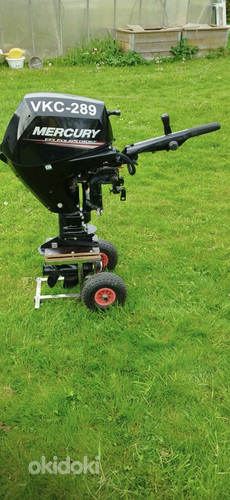 Mercury F20MH