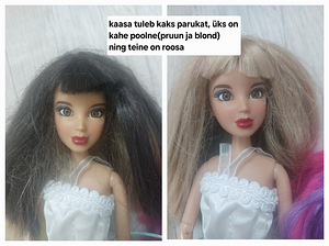 Bratz, barbie, my little pony jne nukud (7 foto / 9)