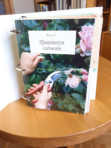 Minu unistuste aed (1 foto / 6)