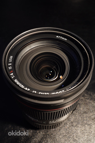 Canon EF 24-105mm F4L IS II USM (фото #2)