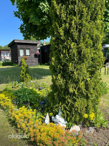 Nurmenuku tn, Paldiski, Lääne-Harju vald, Harjumaa