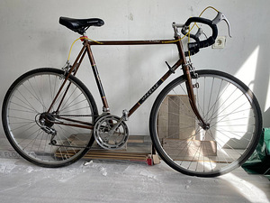 Велосипед Gazelle tour de France (3 фото из 3)