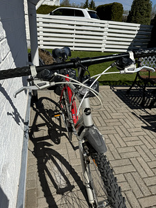 Jalgratas Giant (4 foto / 4)