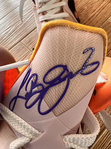 Nike Air Jordan, LeBron James (5 foto / 6)