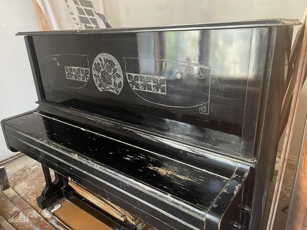 Klaver tasuta (foto #2)
