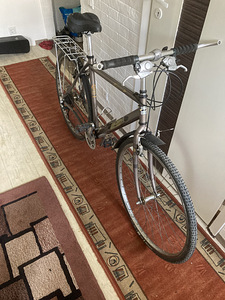 Batavus 28 B1 Made in Holland (4 foto / 10)