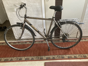 Batavus 28 B1 Made in Holland (8 foto / 10)
