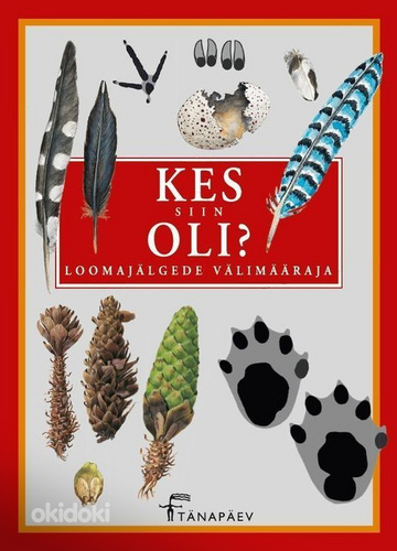 Kes siin oli?