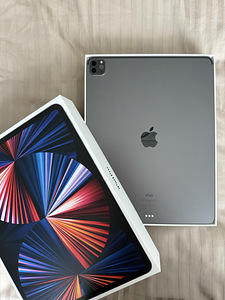iPad Pro (5th Gen) + Apple Pencil (2nd Gen)