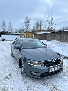 Skoda Octavia 2.0 (2015) (2 foto / 13)