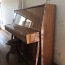 Klaver (foto #1)