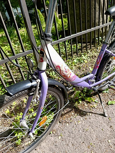 Naiste linnaratas 24" Shimano (3 foto / 5)
