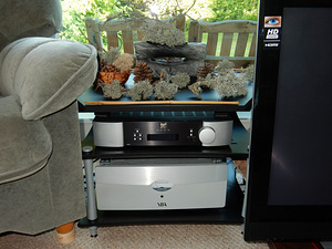 YBA Passion A650 Power Amplifier 2 x 200 W, Alpha® Class-A (1 foto / 10)