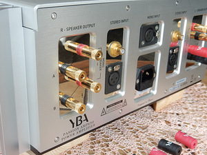 YBA Passion A650 Power Amplifier 2 x 200 W, Alpha® Class-A (8 foto / 10)