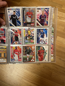 Jalgpallikaartide kollektsioon (9 foto / 10)